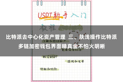 比特派去中心化资产管理  三、肤浅操作比特派多链加密钱包界面精真金不怕火明晰